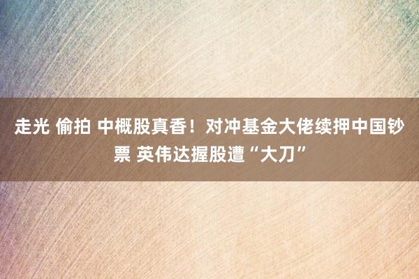 走光 偷拍 中概股真香！对冲基金大佬续押中国钞票 英伟达握股遭“大刀”