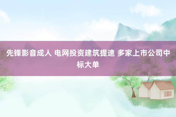 先锋影音成人 电网投资建筑提速 多家上市公司中标大单