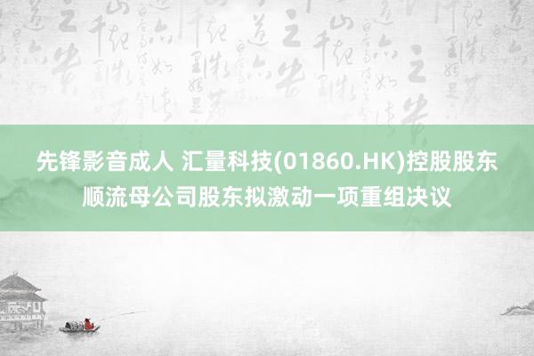 先锋影音成人 汇量科技(01860.HK)控股股东顺流母公司股东拟激动一项重组决议