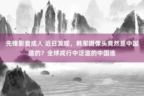 先锋影音成人 近日发现，韩军摄像头竟然是中国造的？全球戎行中泛滥的中国造