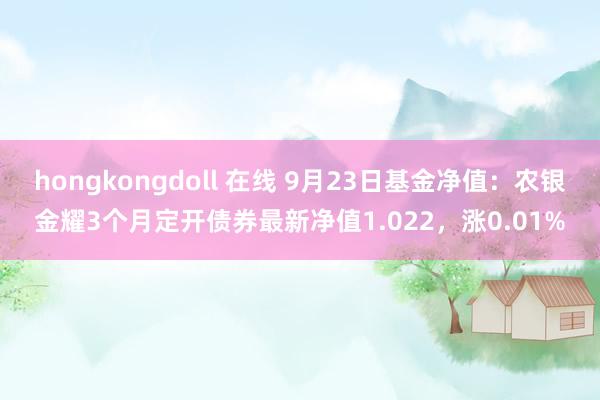 hongkongdoll 在线 9月23日基金净值：农银金耀3个月定开债券最新净值1.022，涨0.01%