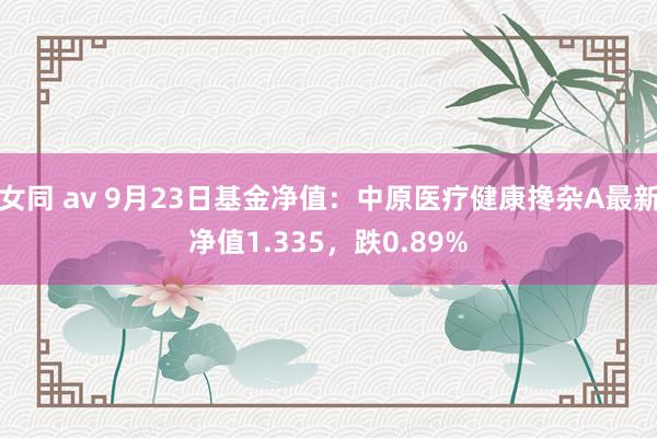 女同 av 9月23日基金净值：中原医疗健康搀杂A最新净值1.335，跌0.89%