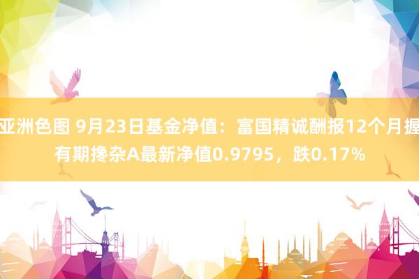 亚洲色图 9月23日基金净值：富国精诚酬报12个月握有期搀杂A最新净值0.9795，跌0.17%