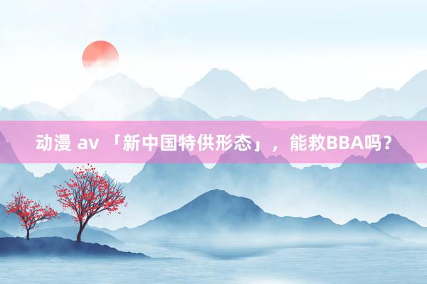 动漫 av 「新中国特供形态」，能救BBA吗？