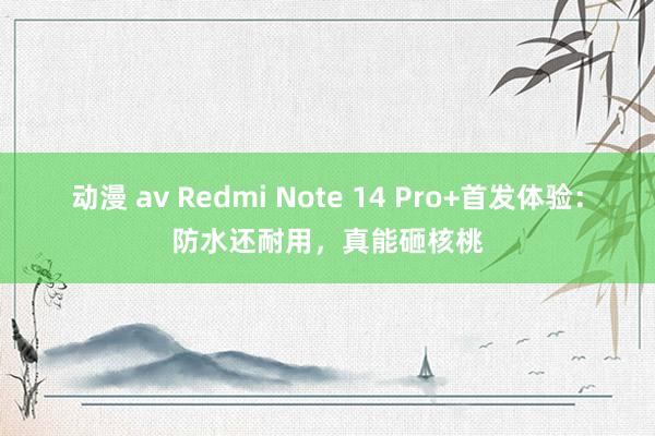 动漫 av Redmi Note 14 Pro+首发体验：防水还耐用，真能砸核桃