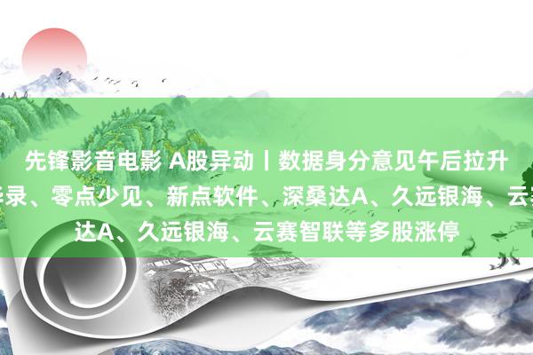 先锋影音电影 A股异动丨数据身分意见午后拉升，卓创资讯、易华录、零点少见、新点软件、深桑达A、久远银海、云赛智联等多股涨停