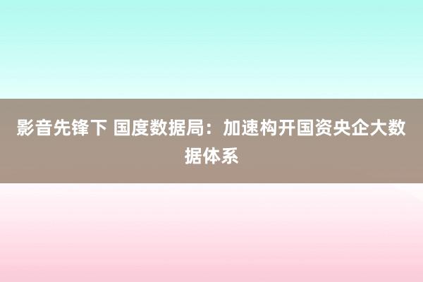 影音先锋下 国度数据局：加速构开国资央企大数据体系