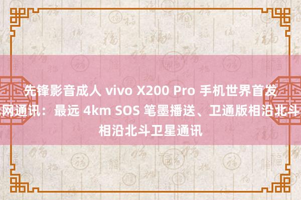 先锋影音成人 vivo X200 Pro 手机世界首发公里级无网通讯：最远 4km SOS 笔墨播送、卫通版相沿北斗卫星通讯