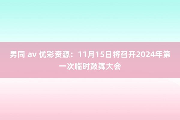 男同 av 优彩资源：11月15日将召开2024年第一次临时鼓舞大会