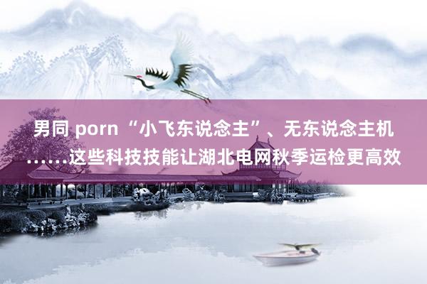 男同 porn “小飞东说念主”、无东说念主机……这些科技技能让湖北电网秋季运检更高效