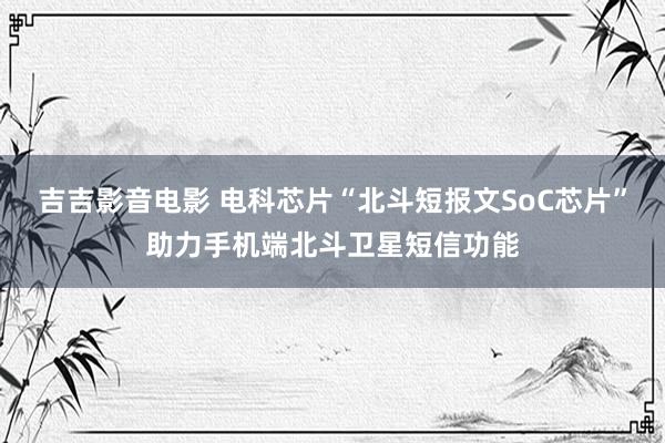 吉吉影音电影 电科芯片“北斗短报文SoC芯片”助力手机端北斗卫星短信功能