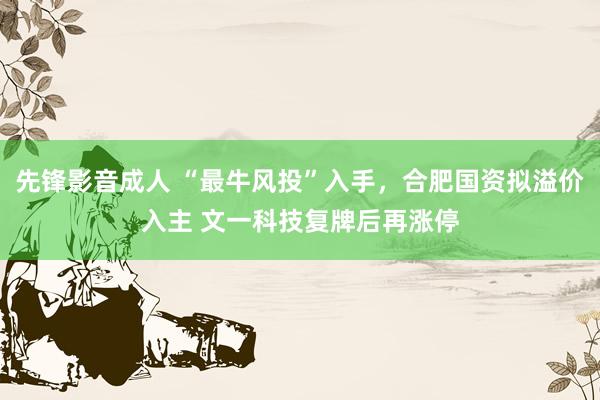 先锋影音成人 “最牛风投”入手，合肥国资拟溢价入主 文一科技复牌后再涨停