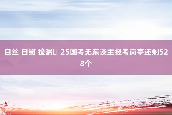 白丝 自慰 捡漏❗25国考无东谈主报考岗亭还剩528个