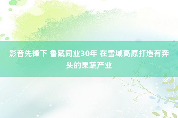 影音先锋下 鲁藏同业30年 在雪域高原打造有奔头的果蔬产业