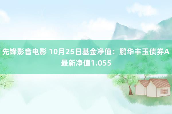 先锋影音电影 10月25日基金净值：鹏华丰玉债券A最新净值1.055