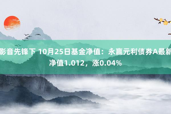 影音先锋下 10月25日基金净值：永赢元利债券A最新净值1.012，涨0.04%