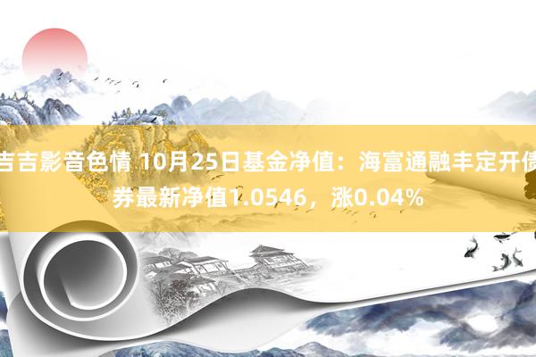 吉吉影音色情 10月25日基金净值：海富通融丰定开债券最新净值1.0546，涨0.04%