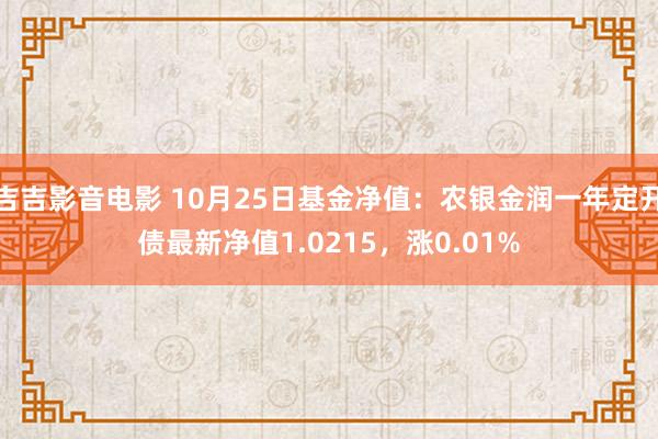 吉吉影音电影 10月25日基金净值：农银金润一年定开债最新净值1.0215，涨0.01%