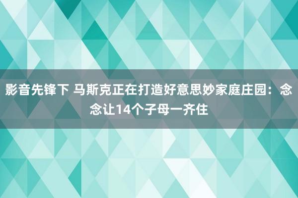 影音先锋下 马斯克正在打造好意思妙家庭庄园：念念让14个子母一齐住