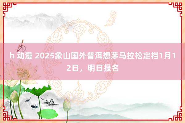 h 动漫 2025象山国外普洱想茅马拉松定档1月12日，明日报名