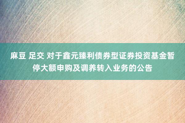 麻豆 足交 对于鑫元臻利债券型证券投资基金暂停大额申购及调养转入业务的公告