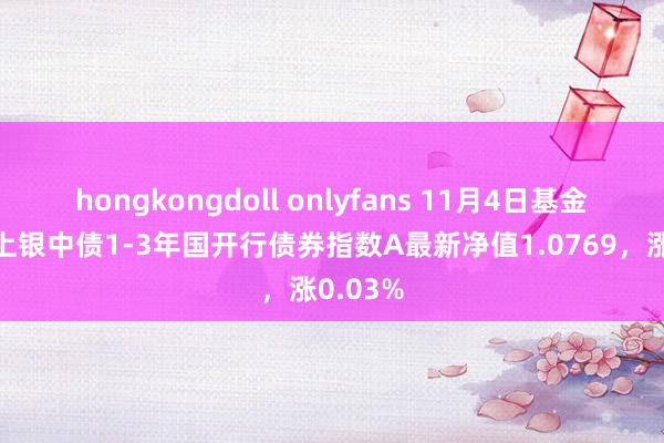 hongkongdoll onlyfans 11月4日基金净值：上银中债1-3年国开行债券指数A最新净值1.0769，涨0.03%