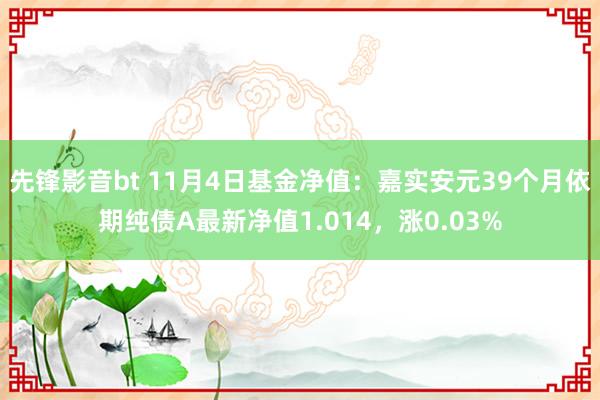 先锋影音bt 11月4日基金净值：嘉实安元39个月依期纯债A最新净值1.014，涨0.03%