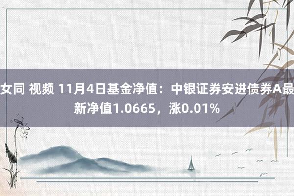 女同 视频 11月4日基金净值：中银证券安进债券A最新净值1.0665，涨0.01%