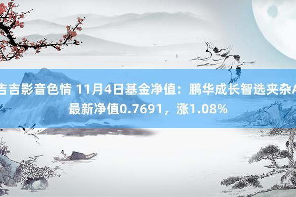 吉吉影音色情 11月4日基金净值：鹏华成长智选夹杂A最新净值0.7691，涨1.08%