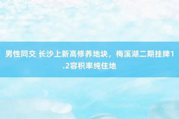 男性同交 长沙上新高修养地块，梅溪湖二期挂牌1.2容积率纯住地