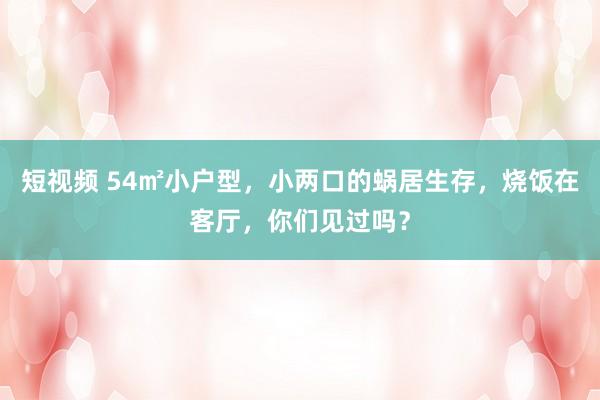 短视频 54㎡小户型，小两口的蜗居生存，烧饭在客厅，你们见过吗？