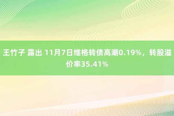 王竹子 露出 11月7日维格转债高潮0.19%，转股溢价率35.41%