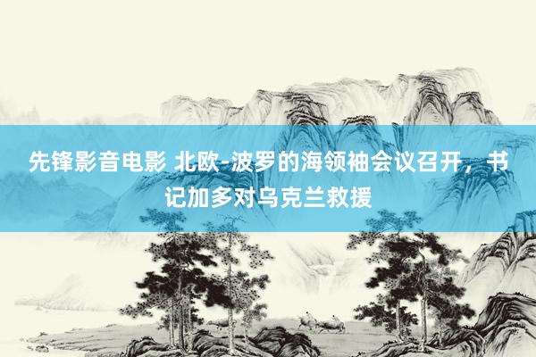 先锋影音电影 北欧-波罗的海领袖会议召开，书记加多对乌克兰救援