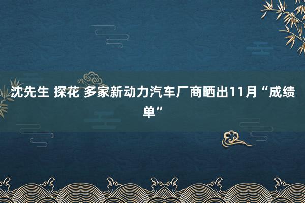 沈先生 探花 多家新动力汽车厂商晒出11月“成绩单”