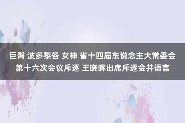 巨臀 波多黎各 女神 省十四届东说念主大常委会第十六次会议斥逐 王晓晖出席斥逐会并语言