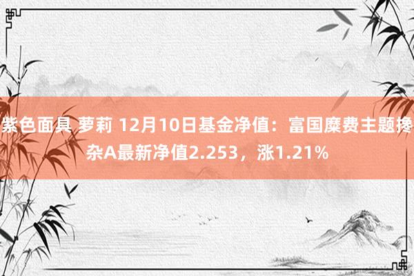 紫色面具 萝莉 12月10日基金净值：富国糜费主题搀杂A最新净值2.253，涨1.21%