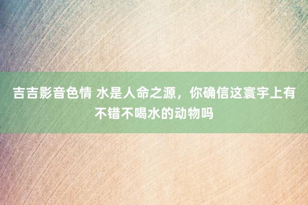 吉吉影音色情 水是人命之源，你确信这寰宇上有不错不喝水的动物吗